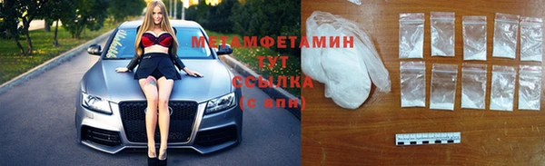 индика Абаза