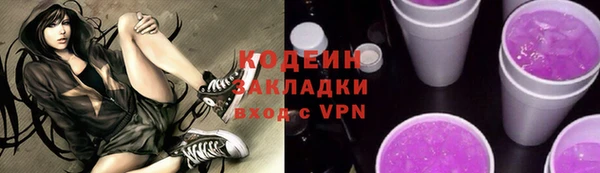 индика Абаза
