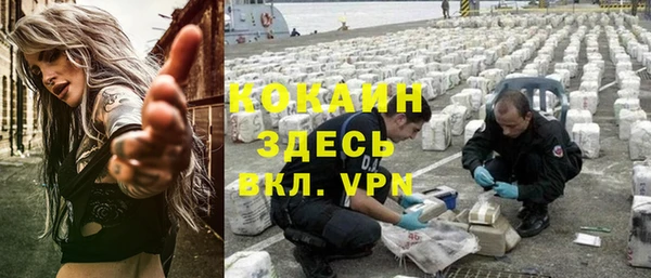 гидра Алексеевка