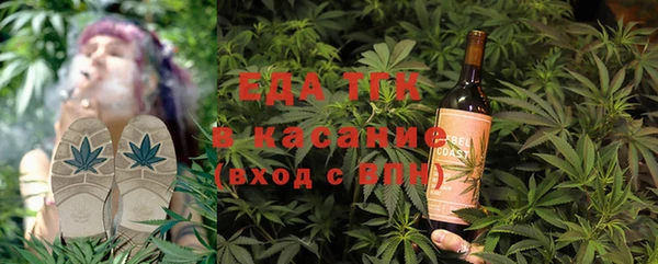индика Абаза