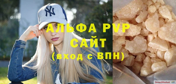 индика Абаза