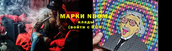 индика Абаза