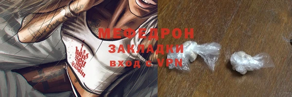 индика Абаза
