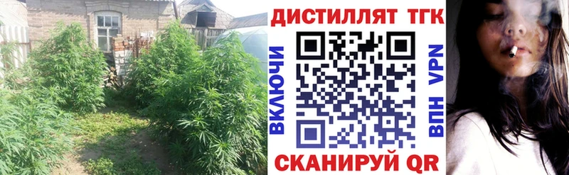 Дистиллят ТГК Wax  shop какой сайт  Невинномысск 