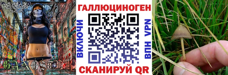 KRAKEN зеркало  Невинномысск  Псилоцибиновые грибы GOLDEN TEACHER 